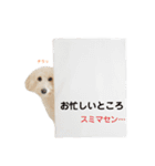 マリコロのお仕事編（個別スタンプ：2）