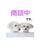 マリコロのお仕事編（個別スタンプ：4）