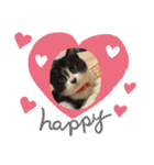 子猫ゆず（個別スタンプ：12）
