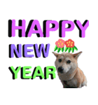 豆柴犬の年末年始のご挨拶（個別スタンプ：2）