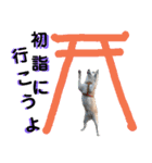 豆柴犬の年末年始のご挨拶（個別スタンプ：9）