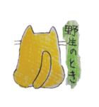 おっきいTシャツのねこねこ（色鉛筆）（個別スタンプ：12）