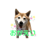 宴会部長あぢゅき（個別スタンプ：2）