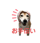 宴会部長あぢゅき（個別スタンプ：10）