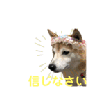 宴会部長あぢゅき（個別スタンプ：12）