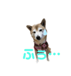 宴会部長あぢゅき（個別スタンプ：14）