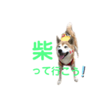 宴会部長あぢゅき（個別スタンプ：16）