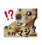 たろすたぷ（個別スタンプ：5）