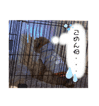 たろすたぷ（個別スタンプ：7）