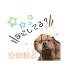たろすたぷ（個別スタンプ：8）