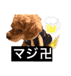 たろすたぷ（個別スタンプ：13）