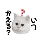 みんなともだち⑦（個別スタンプ：6）