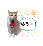 みんなともだち⑦（個別スタンプ：23）