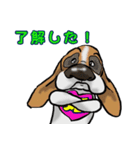 バセットハウンド(犬) 33（個別スタンプ：8）