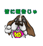 バセットハウンド(犬) 33（個別スタンプ：11）