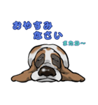 バセットハウンド(犬) 33（個別スタンプ：12）