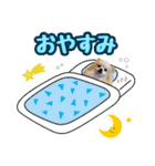ポメラニアン★ライトpart5（個別スタンプ：2）