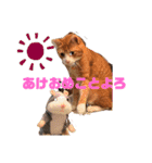 ワガママでけだるそうな気まぐれ猫ニャース（個別スタンプ：1）