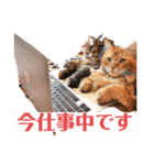 ワガママでけだるそうな気まぐれ猫ニャース（個別スタンプ：3）