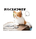 ワガママでけだるそうな気まぐれ猫ニャース（個別スタンプ：4）