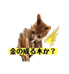 ワガママでけだるそうな気まぐれ猫ニャース（個別スタンプ：5）