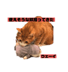 ワガママでけだるそうな気まぐれ猫ニャース（個別スタンプ：6）