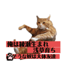 ワガママでけだるそうな気まぐれ猫ニャース（個別スタンプ：16）