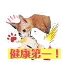 ワガママでけだるそうな気まぐれ猫ニャース（個別スタンプ：24）