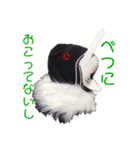 Assassin Fox はいじ（個別スタンプ：12）