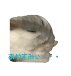 こじろうのまいにち。（個別スタンプ：2）