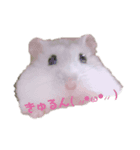 こじろうのまいにち。（個別スタンプ：4）