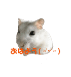 こじろうのまいにち。（個別スタンプ：6）