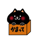 もちほっぺにゃんこ【黒猫】（個別スタンプ：31）