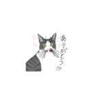 うちの猫スタンプ（グーとスー）（個別スタンプ：2）