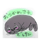 ににあざらしのすたんぷ（個別スタンプ：15）