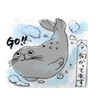 ににあざらしのすたんぷ（個別スタンプ：24）