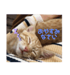 ちゃんくん日常スタンプ（個別スタンプ：1）