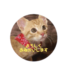 ちゃんくん日常スタンプ（個別スタンプ：6）