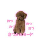 我が家のペコくん（個別スタンプ：2）