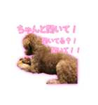 我が家のペコくん（個別スタンプ：4）