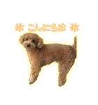 我が家のペコくん（個別スタンプ：9）