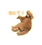 我が家のペコくん（個別スタンプ：15）