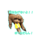 我が家のペコくん（個別スタンプ：26）