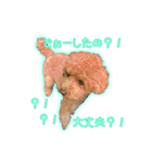 我が家のペコくん（個別スタンプ：28）