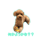 我が家のペコくん（個別スタンプ：29）