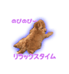 我が家のペコくん（個別スタンプ：34）