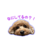 我が家のペコくん（個別スタンプ：40）