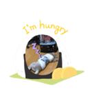 チロルとチョコ（個別スタンプ：5）