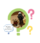 チロルとチョコ（個別スタンプ：6）