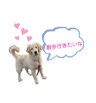こむぎ＆のあちゃん（個別スタンプ：4）